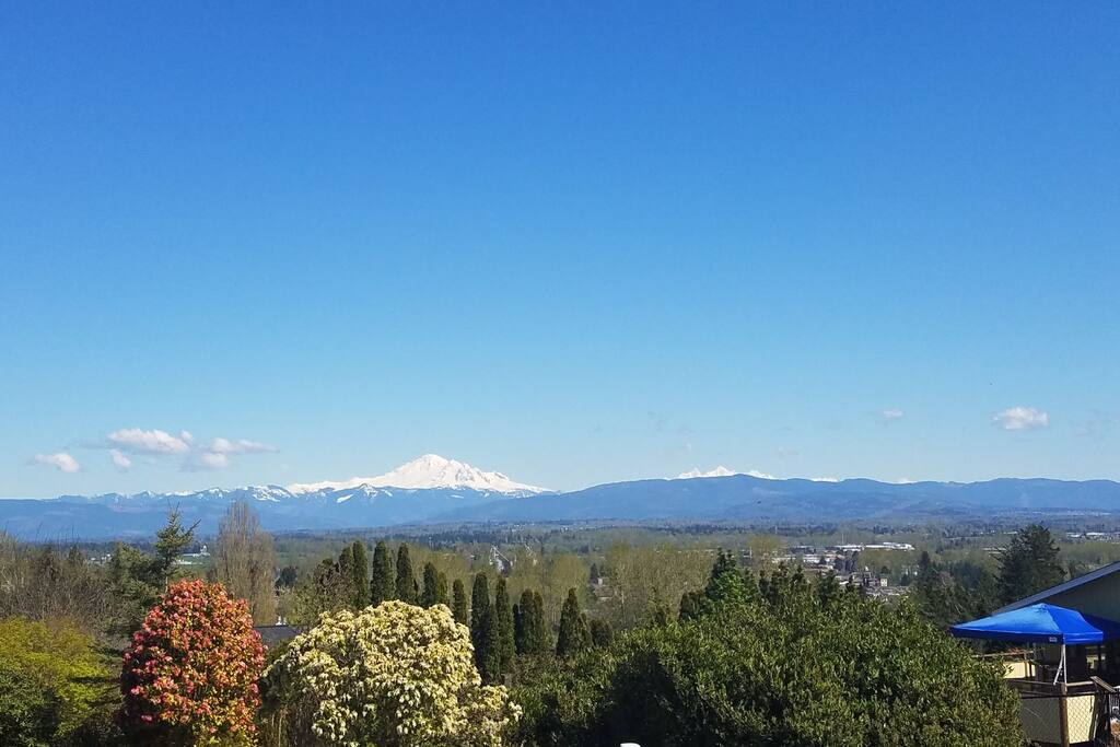 Your window view