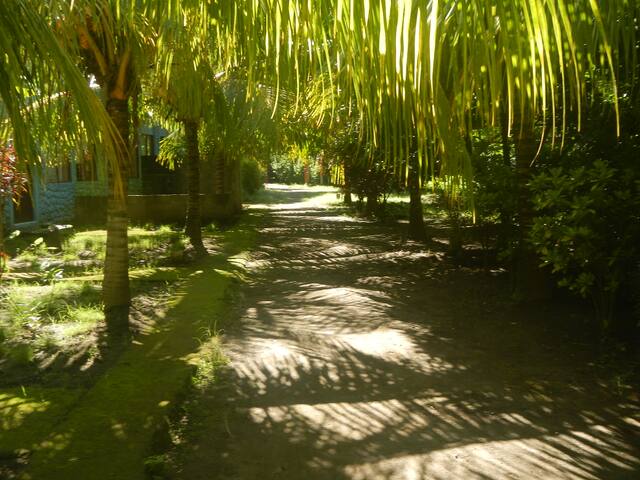 Hostal Cabinas Las Brisas San Jose Sur Ometepe