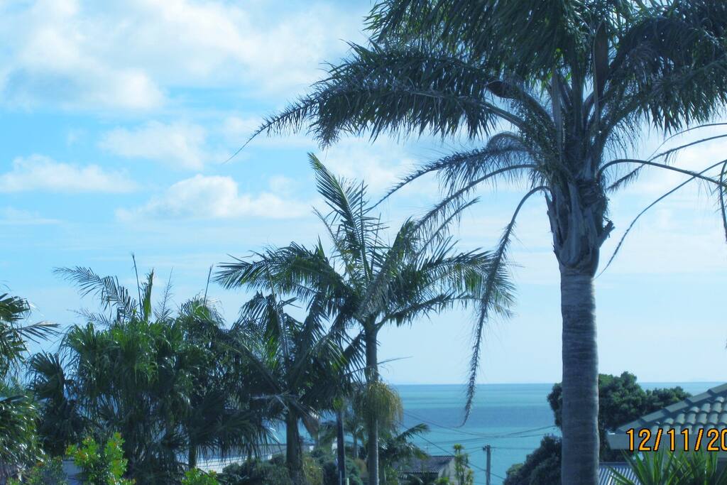 View from the Lounge