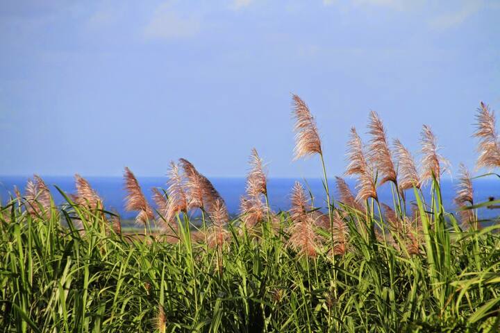 Welcome to Mauritius ...