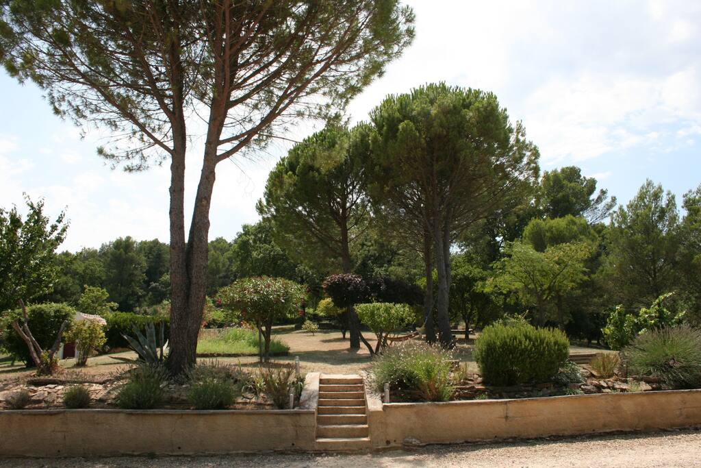 Vue sur le parc