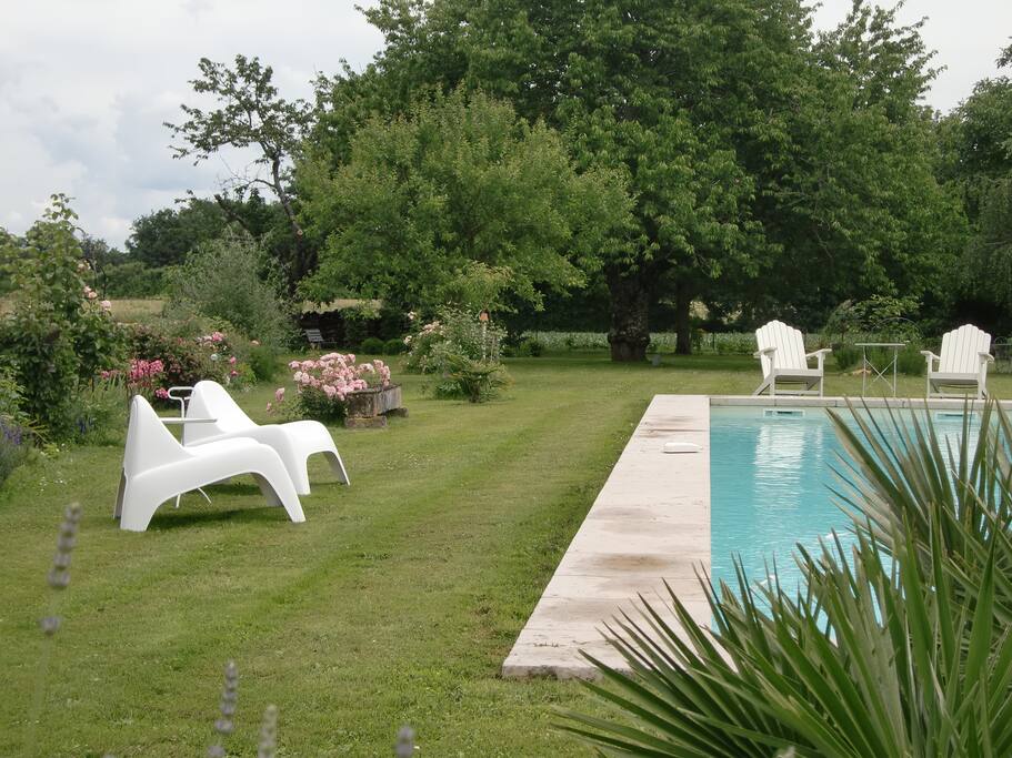 Le jardin et la piscine