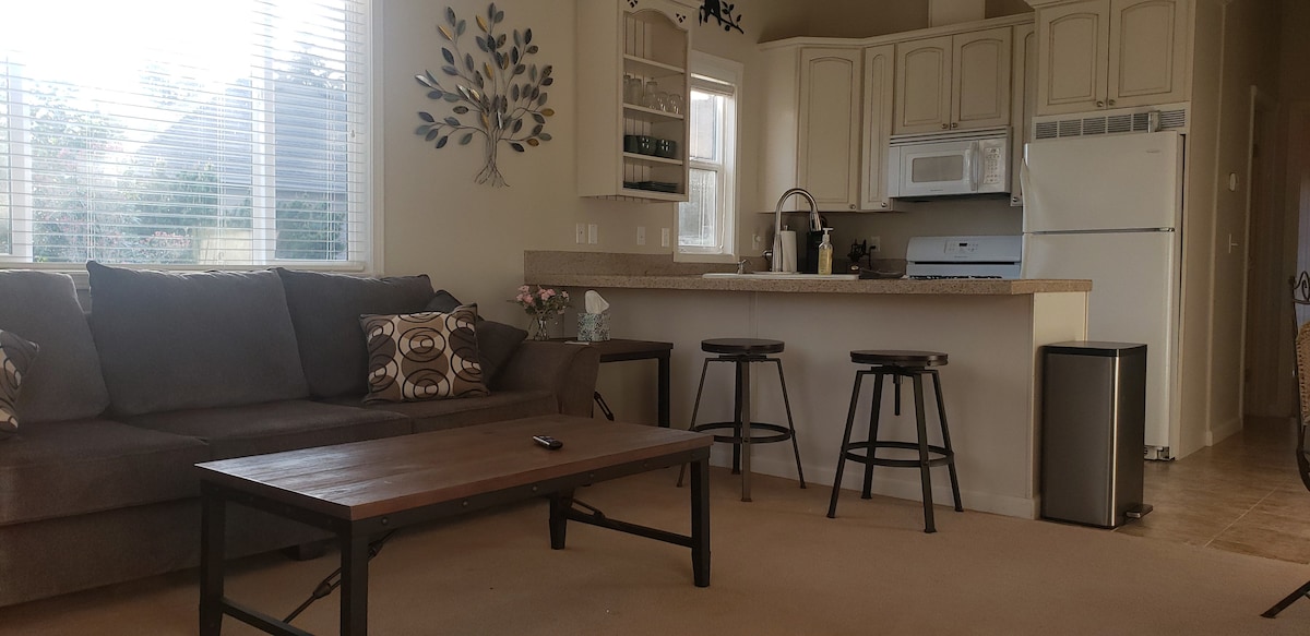 A cozy living area features a comfortable gray couch adorned with decorative pillows. A wooden coffee table sits in front, while two stools stand near a countertop. Sunlight streams through large windows, creating a bright and welcoming ambiance in the open kitchen space.