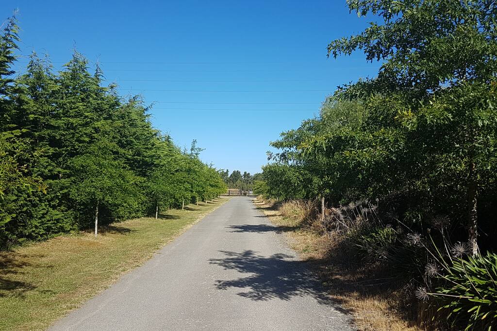 Private Driveway