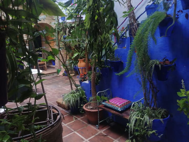"Enchantment in Patio Cordobés" Guest houses for Rent in Córdoba