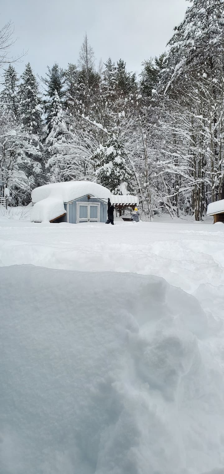 Sky Blue Cottage Retreat Cottages for Rent in Bracebridge, Ontario