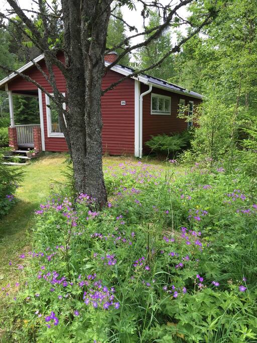 Stugan i midsommartid