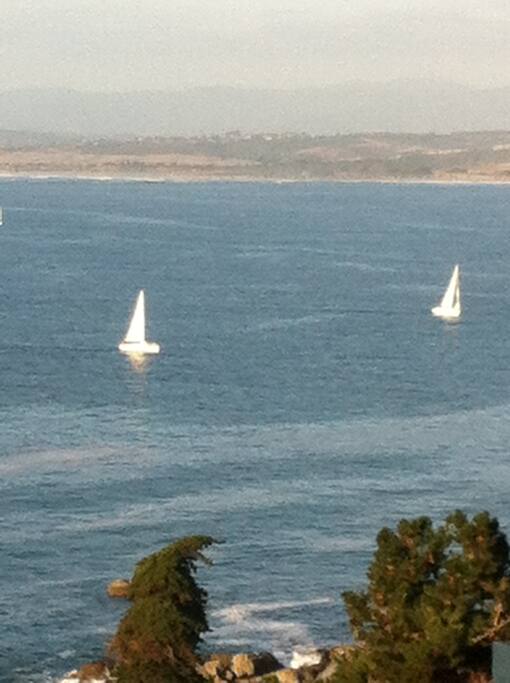 Regata 1