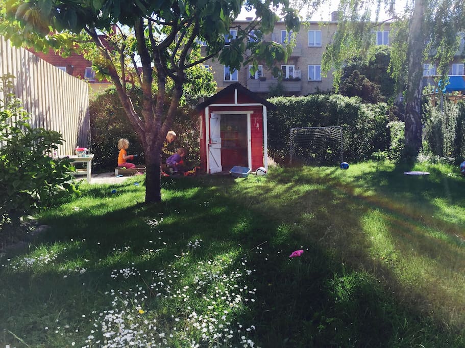 The back yard contains sand box, play house, soccer goals and trampoline