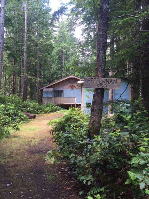Cabin from Driveway