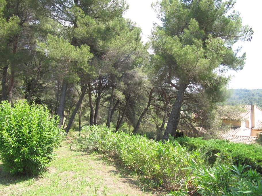 Vue sur le jardin