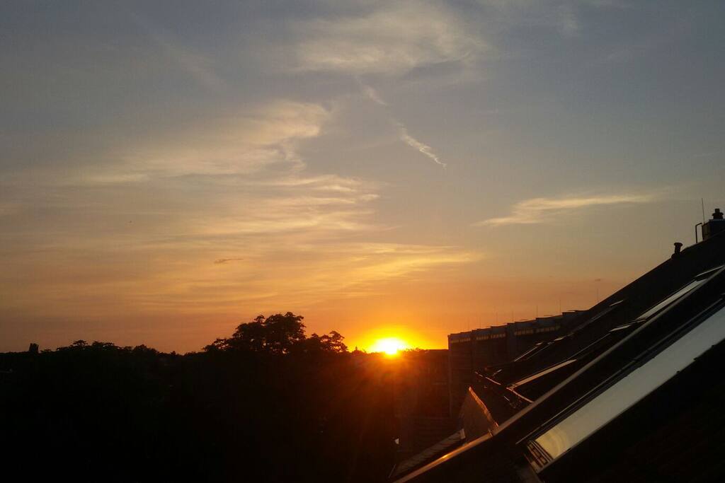 Ausblick Dachterrasse