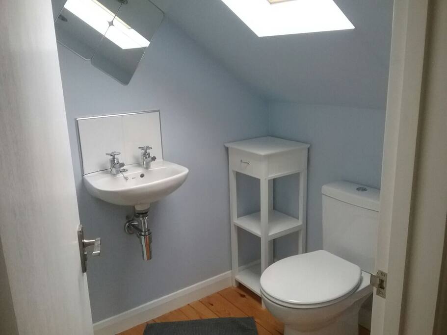 Ensuite shower room - the shower is behind the door!
