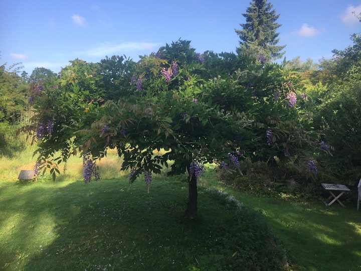 Peaceful oasis close to Copenhagen
