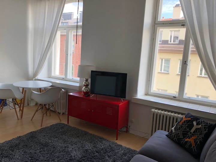 Elegant Studio Apartment In Down Town Helsinki - Helsinki