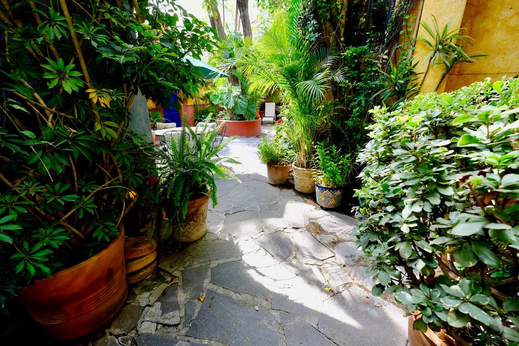 Garden