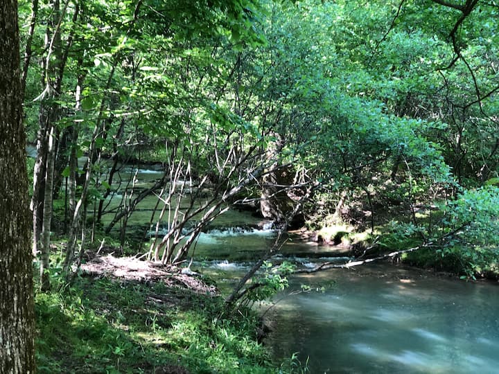 Lake Catherine Vacation Rentals & Homes Arkansas, United States Airbnb