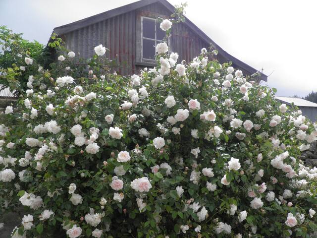 Airbnb Livingstone Vacation Rentals Places To Stay Otago