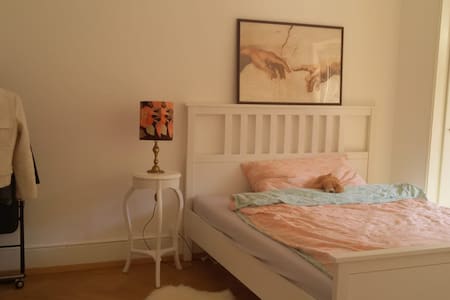 Spacious furnished room in the heart of Lausanne