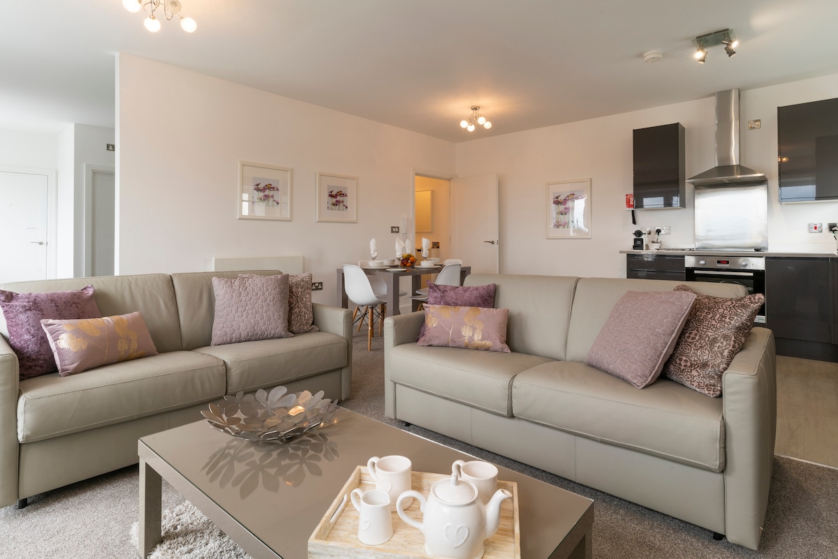 Successful Airbnb property: *PENTHOUSE* luxury apartment, views *FREE PARKING* in Clifton Without