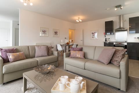 Successful Airbnb property: *PENTHOUSE* luxury apartment, views *FREE PARKING* in Clifton Without
