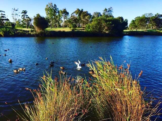 环境优美、温馨舒适、干净整洁