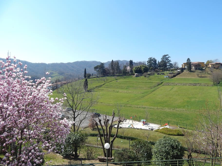 panorama da Villa Mirtilla