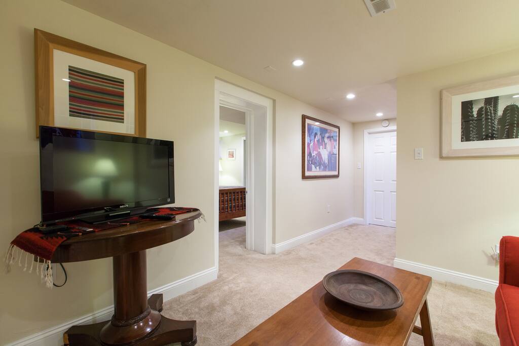 Apple TV, Netflix, and DVD player with a huge video library.
