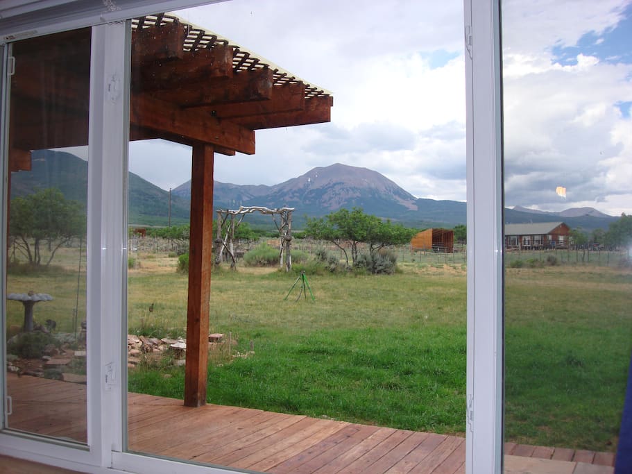 View from Garden room window