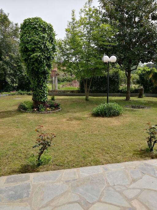 Yard