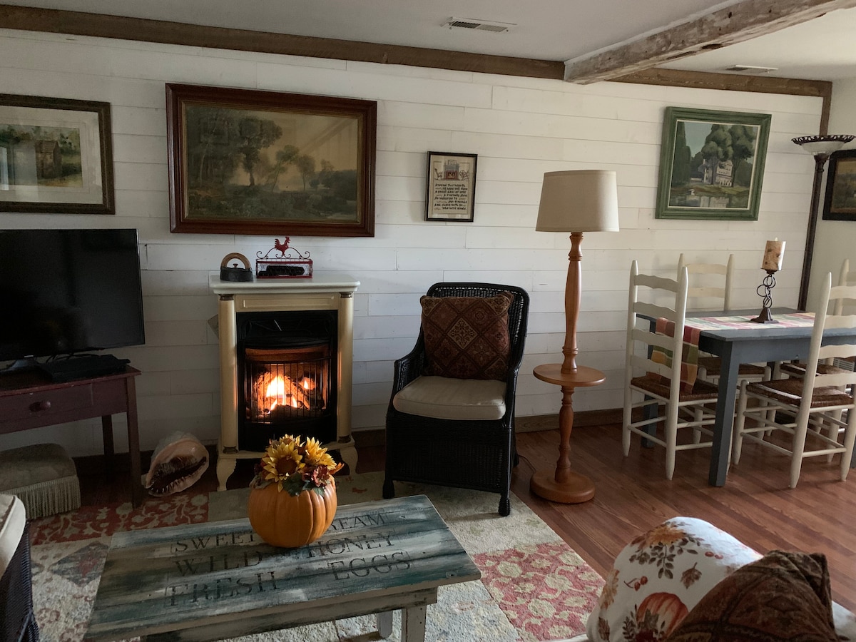 A cozy living area features a flat-screen TV alongside a decorative fireplace, bringing warmth to the space. Comfortable seating is arranged around a rustic coffee table. A dining table with chairs is visible in the background, enhancing the inviting atmosphere.