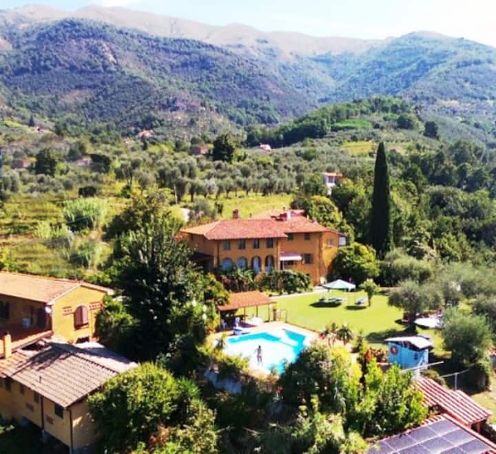 Il Carnasciale Pieve Camaiore - Bouganville - Viareggio