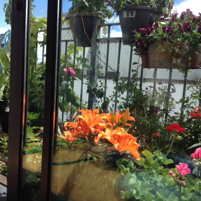 Balcony in full bloom