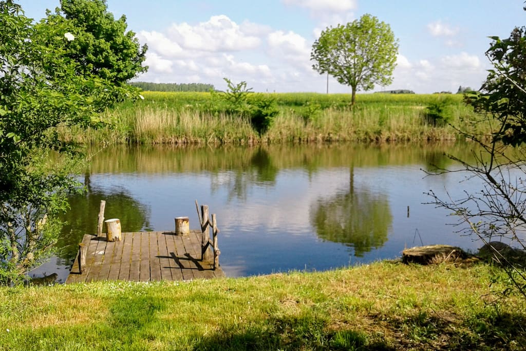 terrain et ponton privatif
