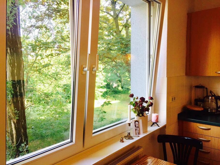 The Green view from the Kitchen