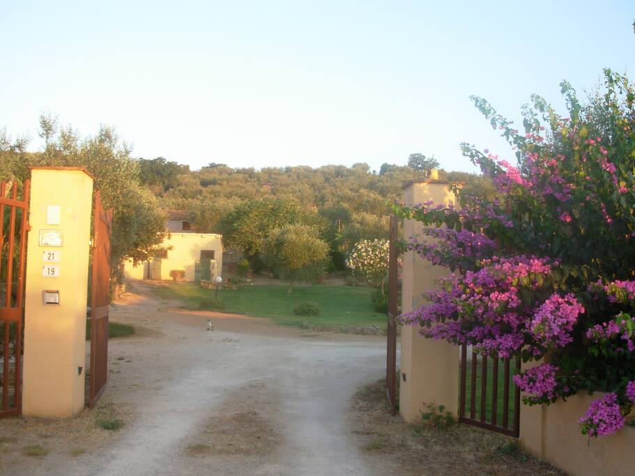 entrata al vecchio silos