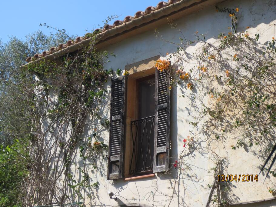 Romantic Finca