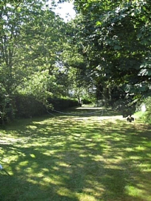 Main garden
