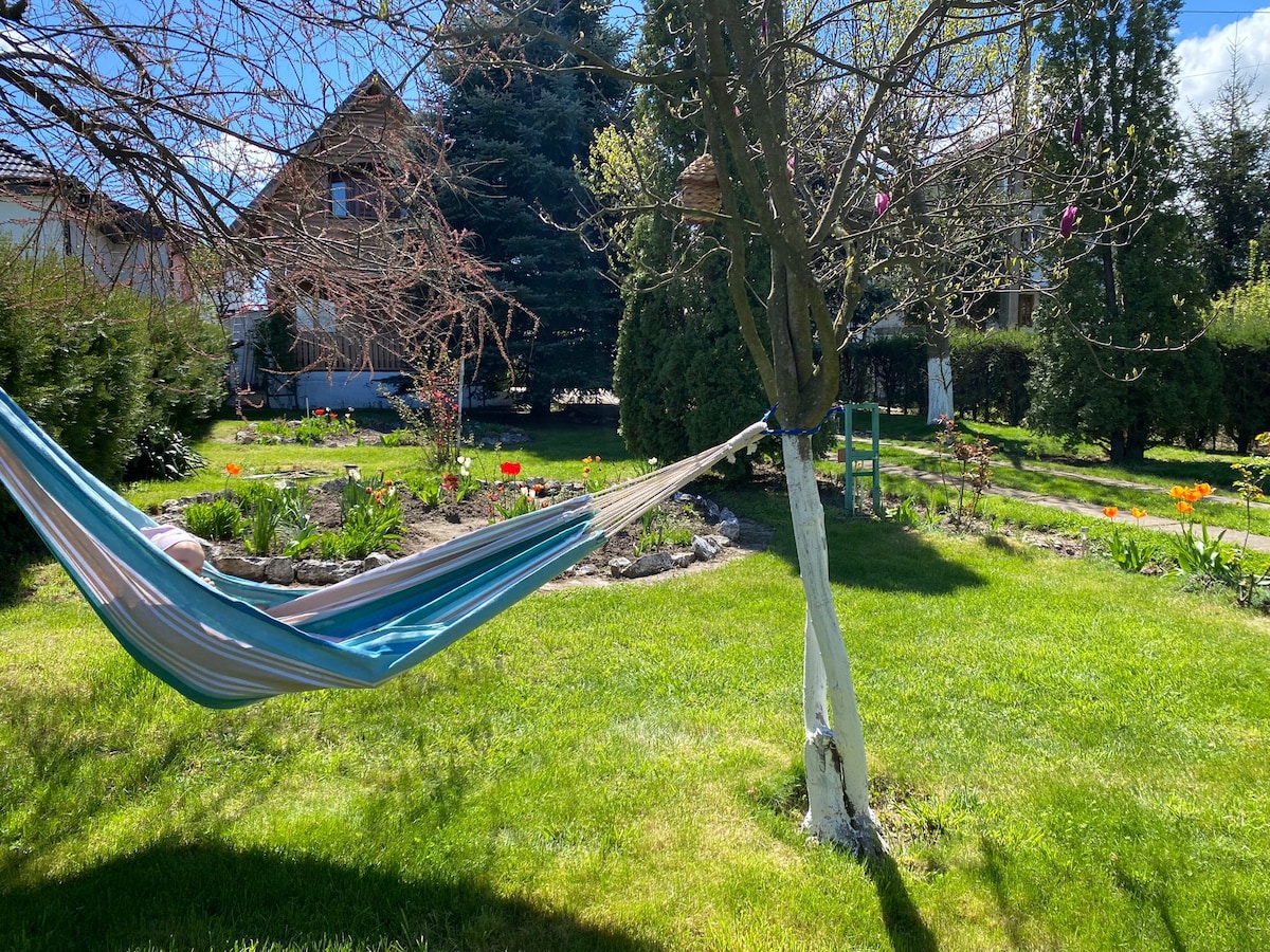 A relaxed outdoor area is presented with a colorful hammock suspended between two trees. Lush green grass surrounds flowering plants, including tulips. In the background, a charming house can be seen, complemented by dense evergreen trees and well-maintained landscaping.