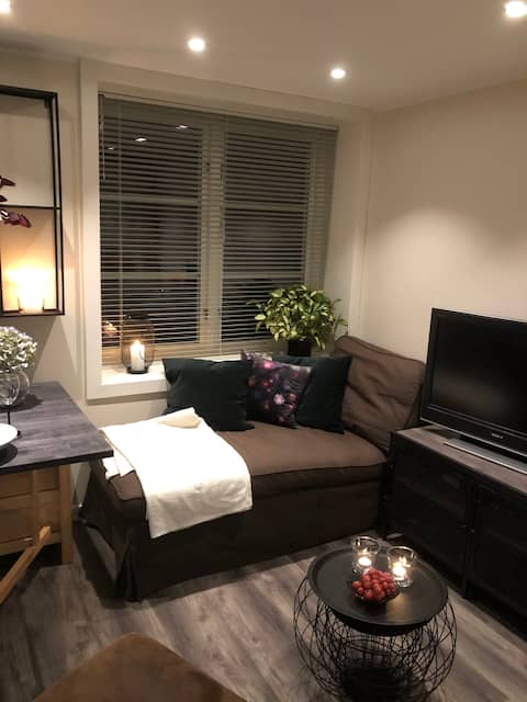 Top Airbnb: Studio apartment in the middle of Drøbak city center in Frogn