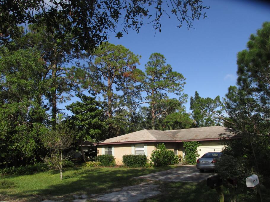 Rooms For Rent Vero Beach Rooms For Rent Vero Beach