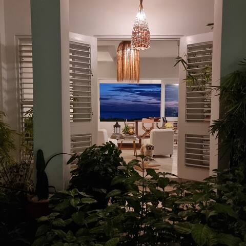 Treasure Beach Sanguine Villa