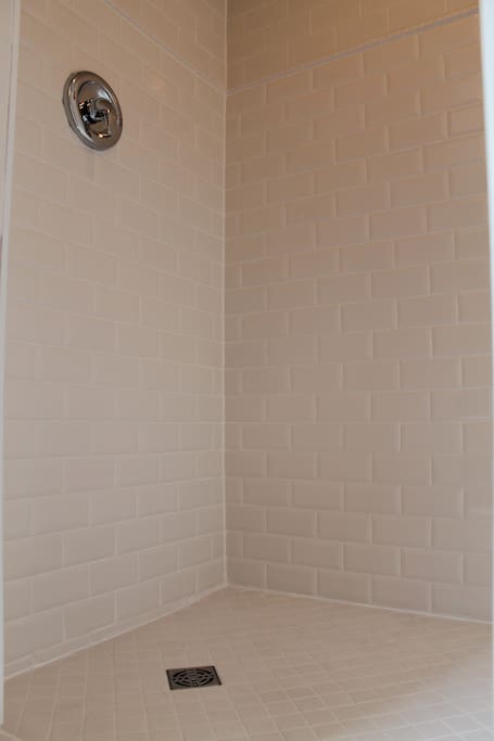 Spacious, newly renovated shower