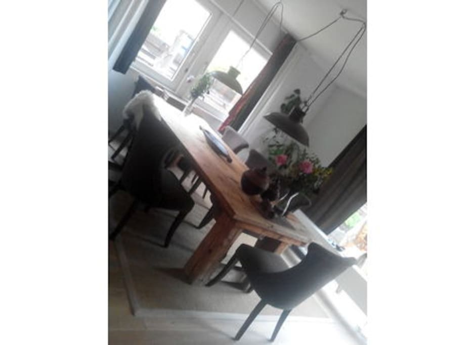 Dinning Table
