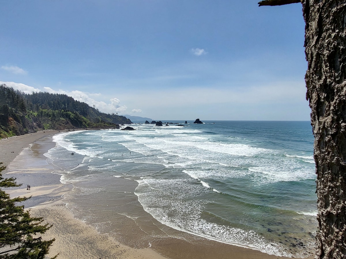 A panoramic view of Manzanita Beach showcases soft sand meeting gentle ocean waves under a clear blue sky. The coastline is framed by lush greenery and distant rocky outcrops, highlighting the serene natural landscape of the area.