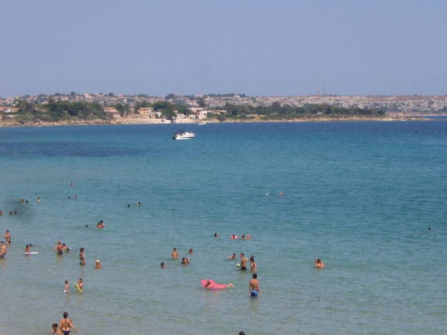 mare