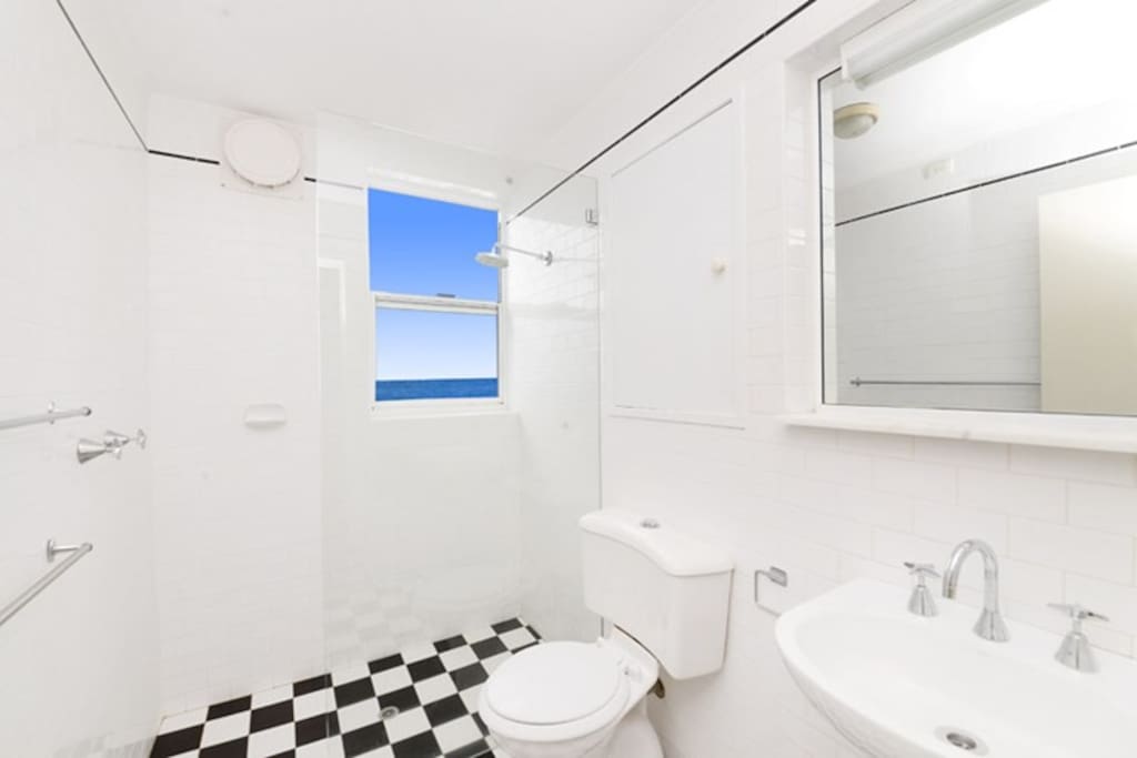 From the bathroom - take your shower looking at the ocean