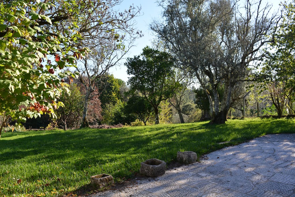 Pavimento exterior junto ao jardim.