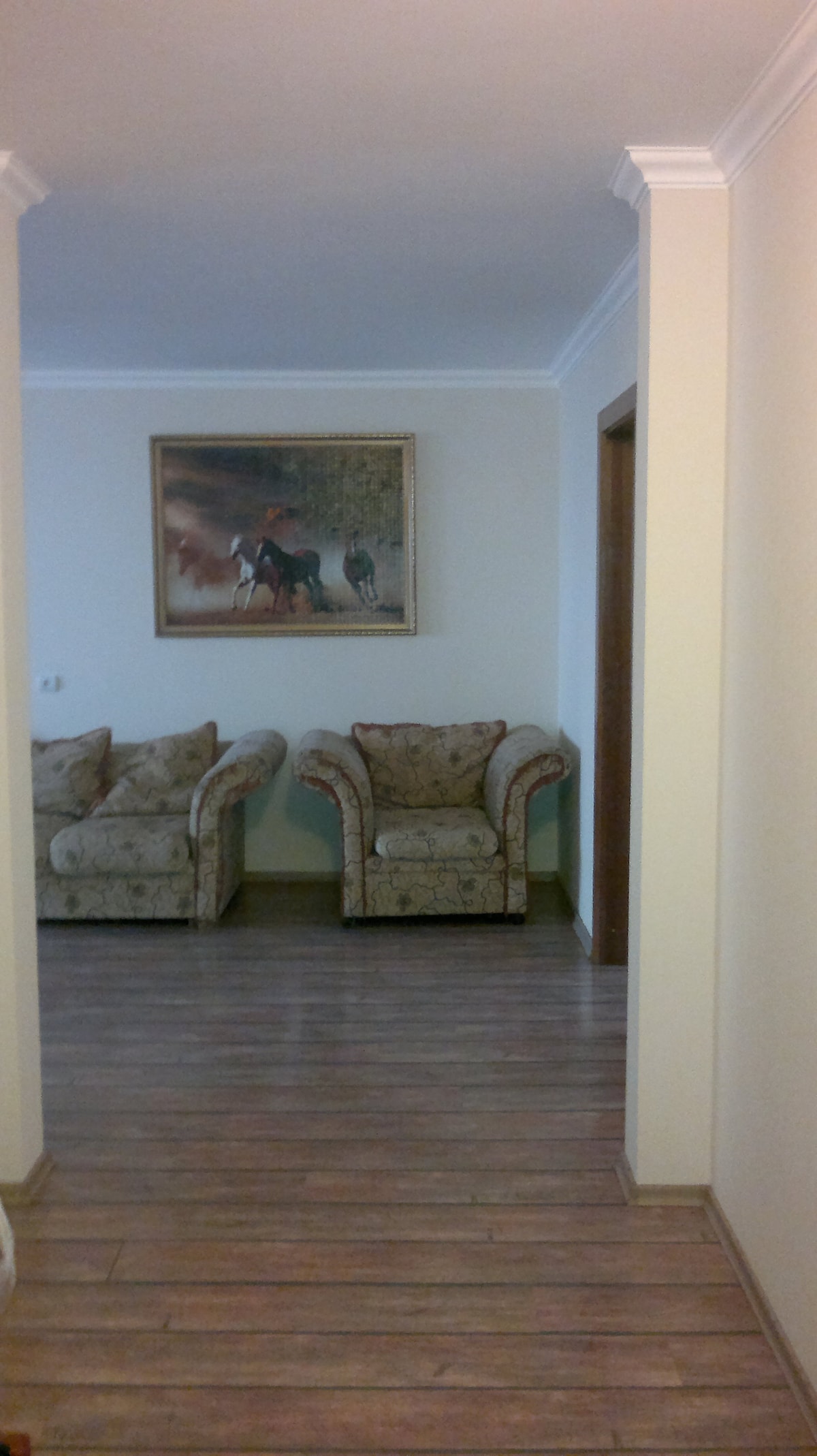 A hallway view is presented, showcasing two patterned armchairs positioned against a light-colored wall. A framed artwork depicting horses is displayed above the chairs. Warm wooden flooring extends throughout the space, enhancing the area’s open feel.