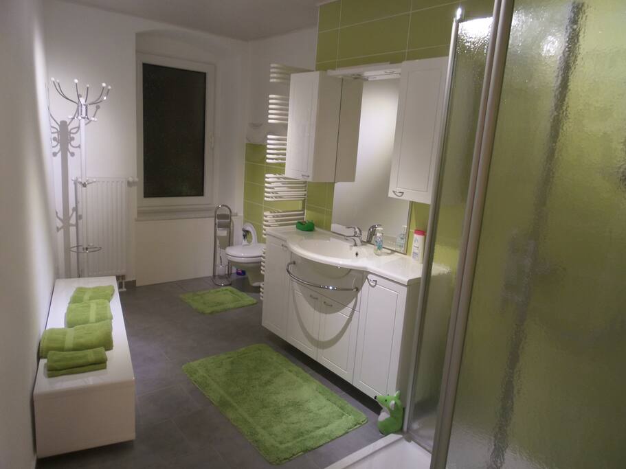 Modernes Bad mit großer Dusche